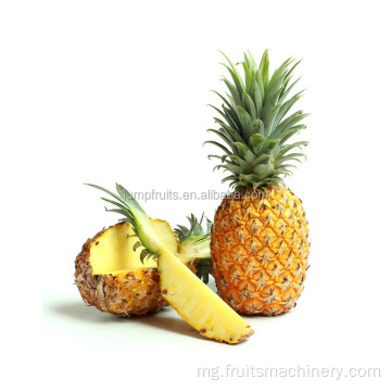Tsipika famokarana lehibe sy milina juicer pineapple